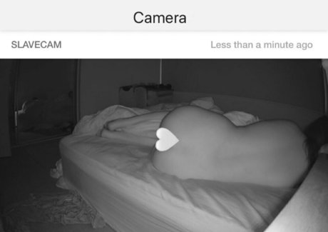 Обнаженная фотография утечки OnlyFans от Sadieebabyyfree