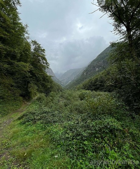 OnlyFans-model Alignedbykarissa