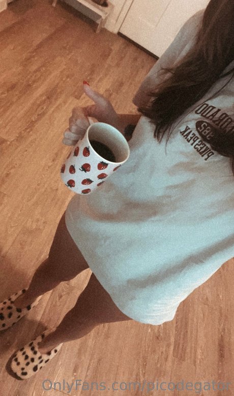 Обнаженная фотография утечки OnlyFans от Picodegator