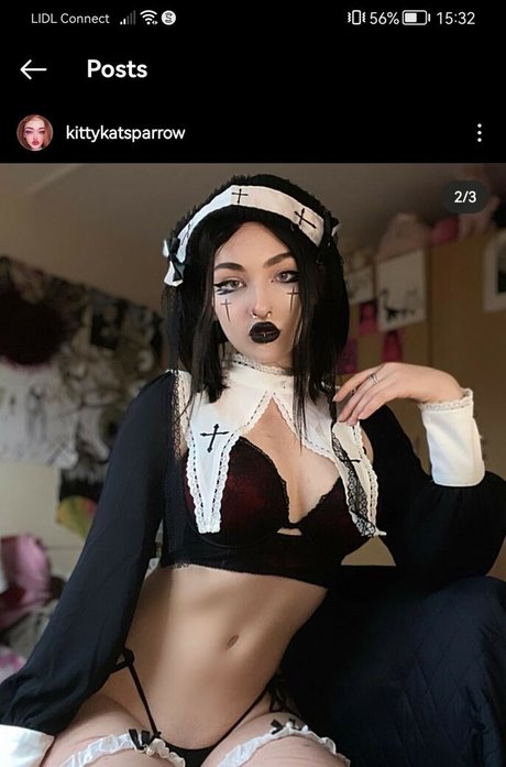Naken lekkede OnlyFans-bilde av Kittykatsparrow