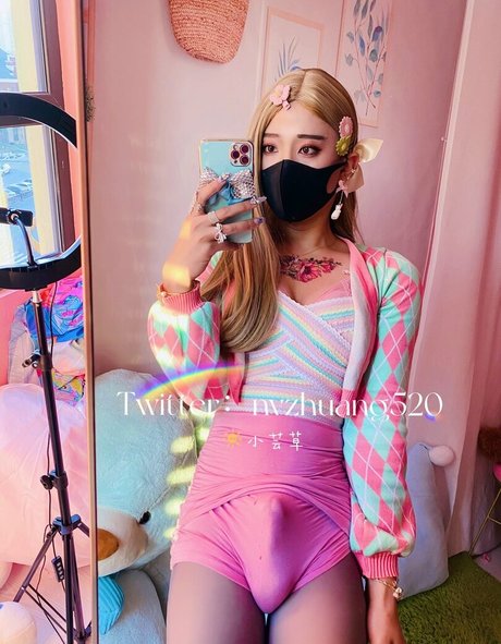 OnlyFans-model Nvzhuang520