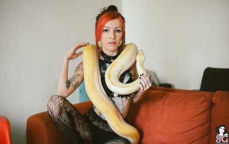 Nahá fotka uniklých OnlyFans od Juh Connie