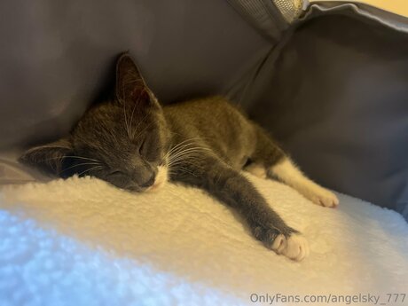 Alasti lekkinud OnlyFans-i pilt Angelsky 777
