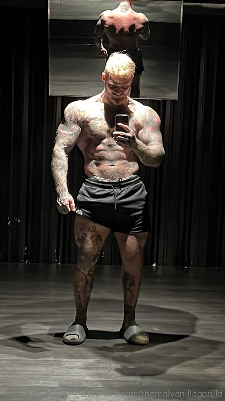 Foto desnuda filtrada de OnlyFans de Therealvanillagorilla