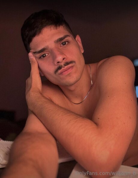 Naakte gelekte OnlyFans-foto van Wilsonn B