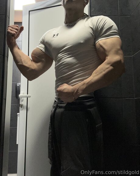 Naken läckt OnlyFans-bild av Stildgold