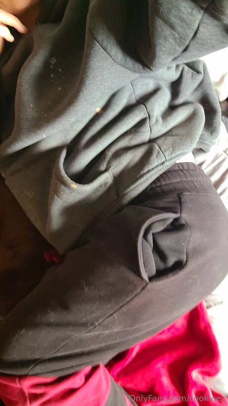 Foto di nudo di fuga di OnlyFans di Cookieez