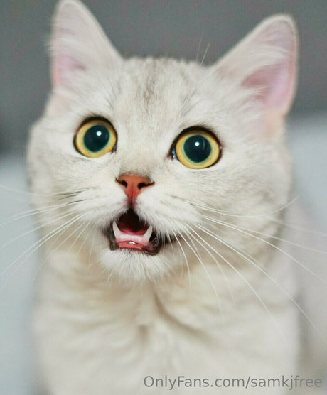 OnlyFans-model Samkjfree