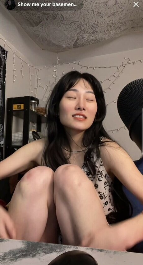 OnlyFans-model Showmeyourbasement