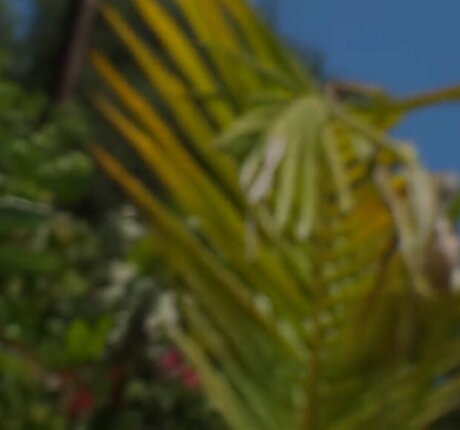 Naken lekkede OnlyFans-bilde av Velicityvon