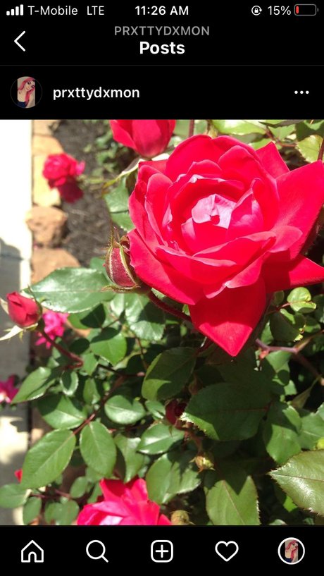 OnlyFans-model Prxtty