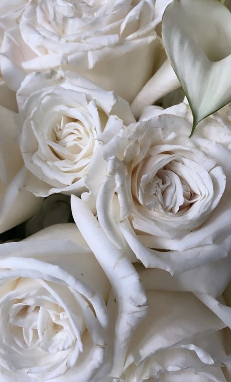 Nacktes geleaktes OnlyFans-Foto von Helle