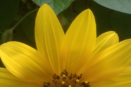 Naken lekkede OnlyFans-bilde av Momouse82