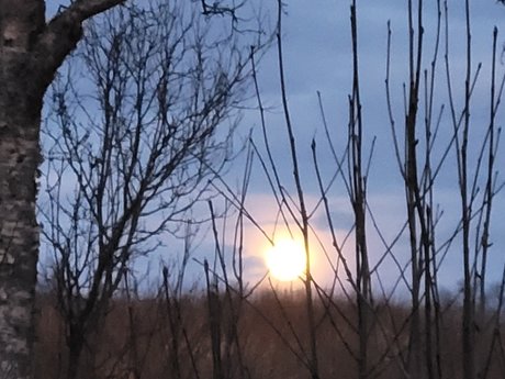 Promo Miss Shadow Free naked leaks OnlyFans pic