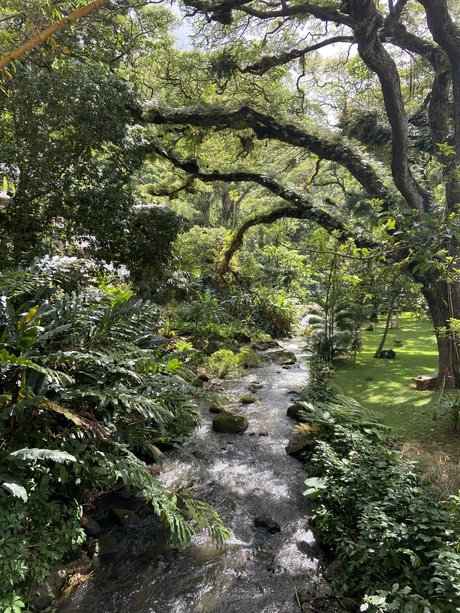 Kaelyn Michelle   naked leaks OnlyFans pic