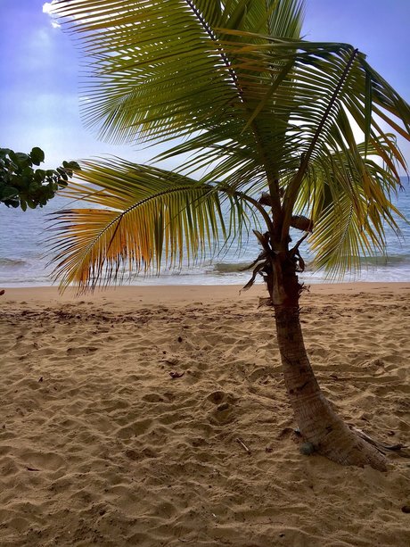 OnlyFans-model Mrjeanpi