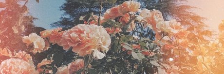 Nacktes geleaktes OnlyFans-Foto von Nicole Fox