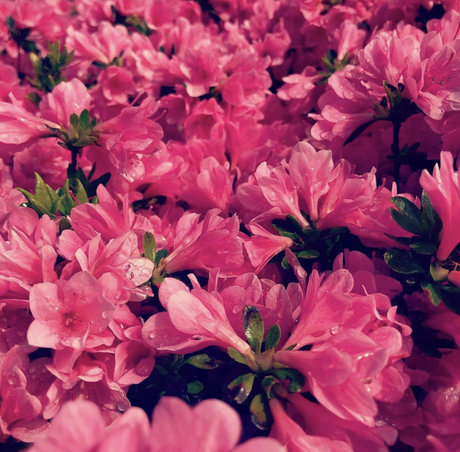 Photo nue de fuite OnlyFans de Exhibitchinnyc