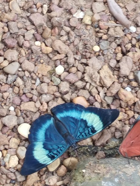 Nacktes geleaktes OnlyFans-Foto von Niyin