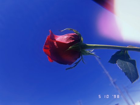 Lil Red naked leaks OnlyFans pic