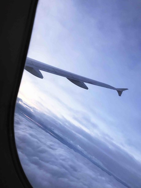 OnlyFans-model Papirigo