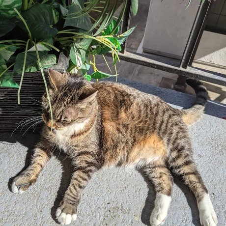 Nahá fotka uniklých OnlyFans od Peach