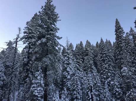 Foto di nudo di fuga di OnlyFans di Pigbottomibanez