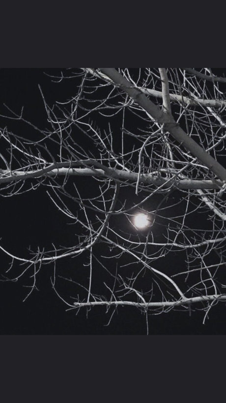 Foto di nudo di fuga di OnlyFans di Raven