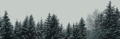 Foto di nudo di fuga di OnlyFans di Rico