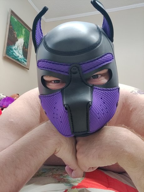 OnlyFans-model Pup Lace