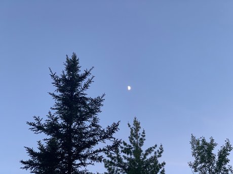 Nacktes geleaktes OnlyFans-Foto von Miya