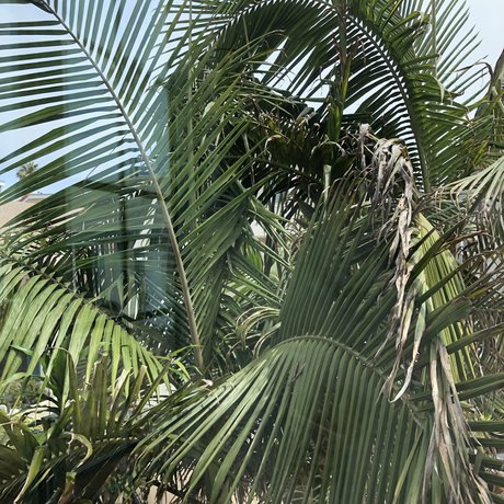 Foto di nudo di fuga di OnlyFans di Bella 