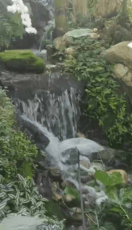 Обнаженная фотография утечки OnlyFans от Demi