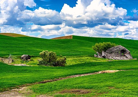 Naken läckt OnlyFans-bild av Bakamic Photography