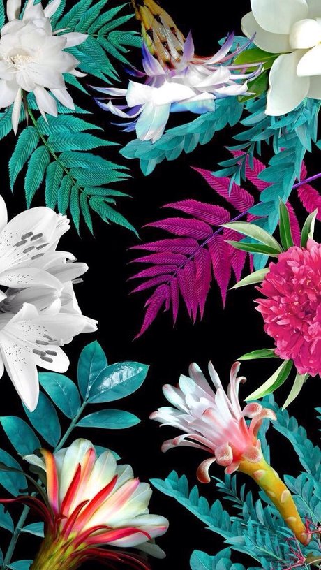 Foto di nudo di fuga di OnlyFans di Mason Fleshwood