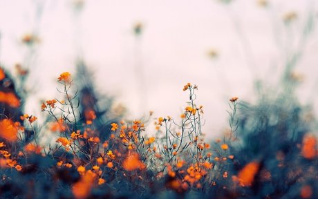 Alasti lekkinud OnlyFans-i pilt Mary Divine