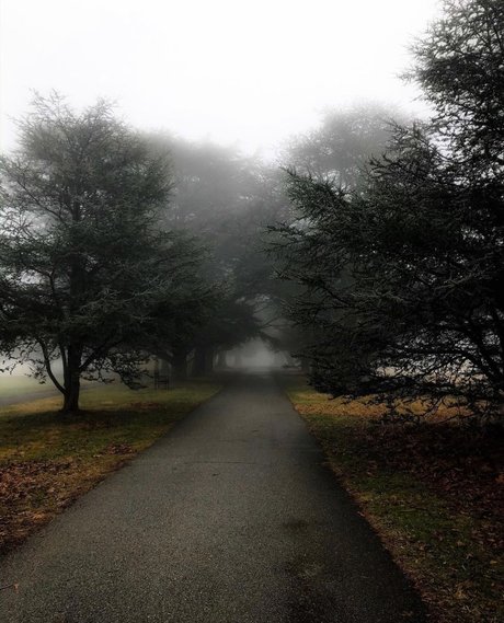 Naakte gelekte OnlyFans-foto van Bee