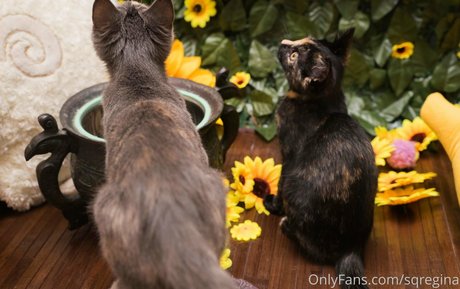 OnlyFans-model Sqregina