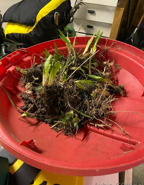 Nacktes geleaktes OnlyFans-Foto von Aubiegfree