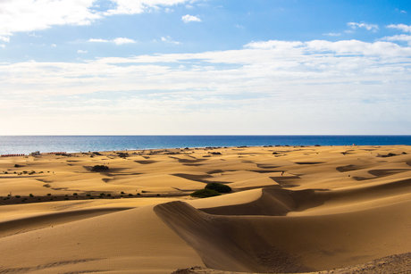 Naken läckt OnlyFans-bild av Dutchmguy87