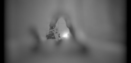 Naken lekkede OnlyFans-bilde av B E L L A