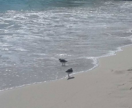 Alasti lekkinud OnlyFans-i pilt Ana