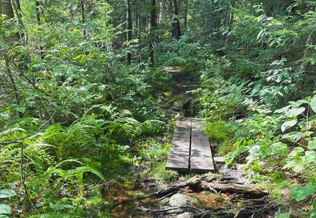 Alasti lekkinud OnlyFans-i pilt Mickey 