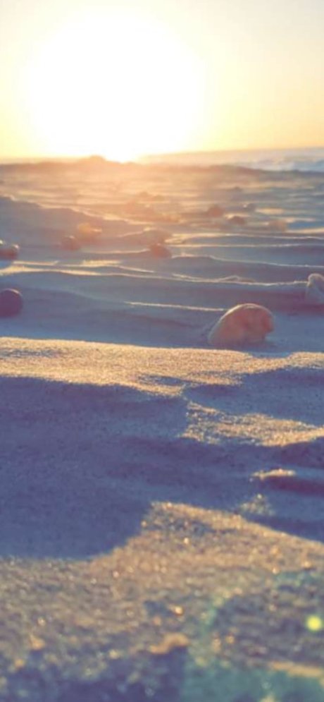 Naken lekkede OnlyFans-bilde av Michelle