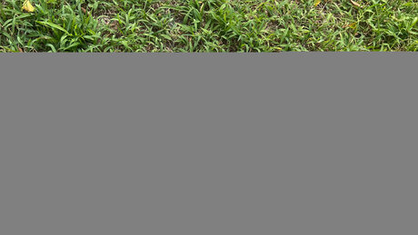 OnlyFans-model Mina Fimmel