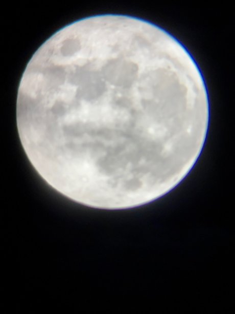 Foto di nudo di fuga di OnlyFans di Mina Rose