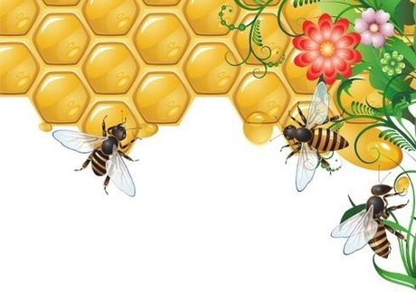 Photo nue de fuite OnlyFans de Anastasia Diavian