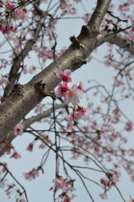 Alasti lekkinud OnlyFans-i pilt Bunny