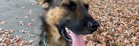 Naken lekkede OnlyFans-bilde av Aerie 