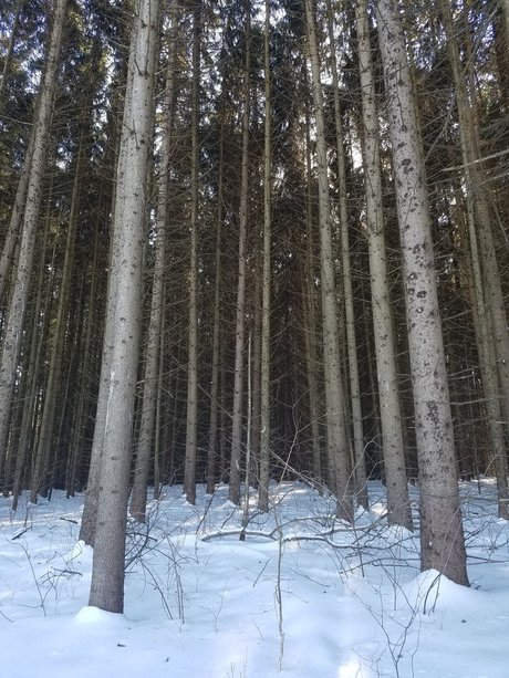 Alasti lekkinud OnlyFans-i pilt Jason Slate